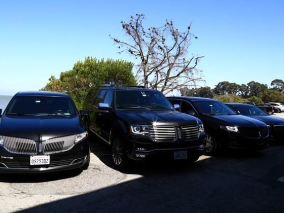Elite Limousine Inc.