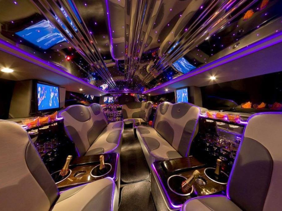 Elite Limousine Inc.