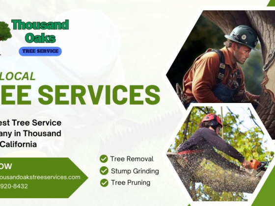 Thousand Oaks Tree Service Pros