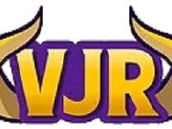 Viking Junk Removal