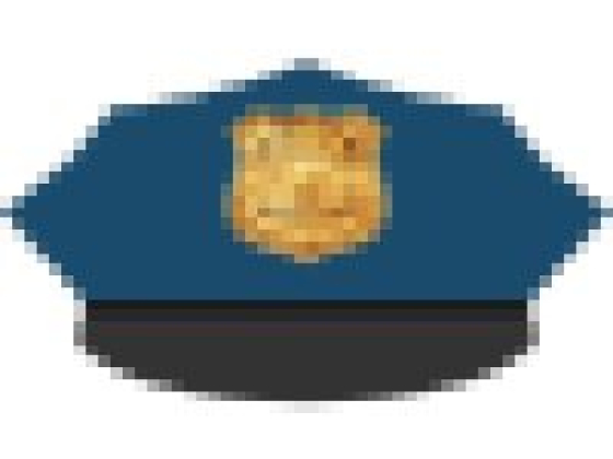 Pasco County Jail Info