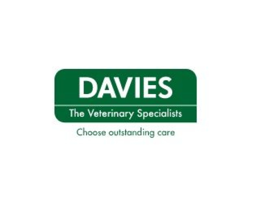 Davies Veterinary Specialists
