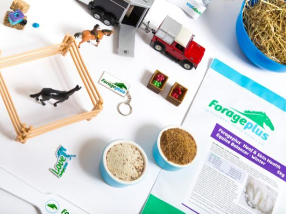 Forageplus Ltd