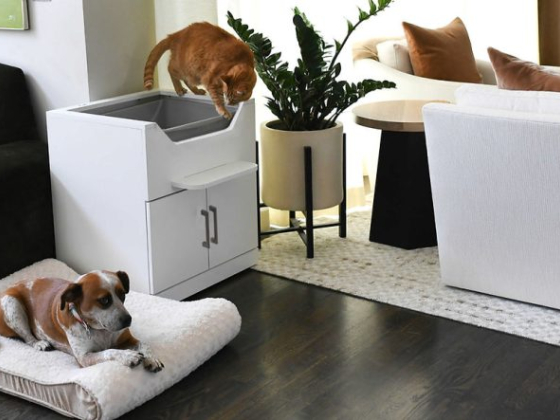LoftyLoo Raised Litter Box