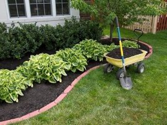 Young's Lawn Care LLC