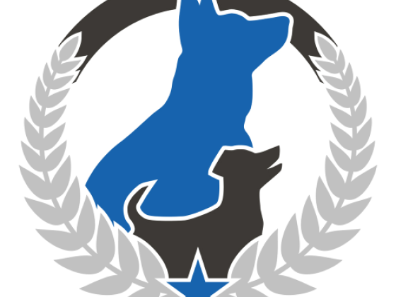 Dog Training Elite Savannah