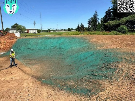 Dire Wolf Hydroseeding Los Angeles