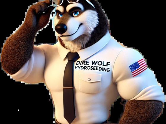 Dire Wolf Hydroseeding Los Angeles