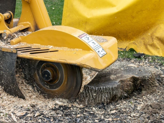 Busby Tree Services LLC