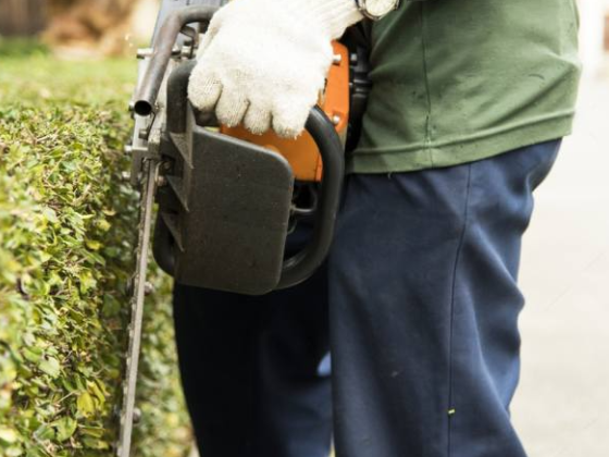 Tree Surgeon Pro