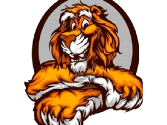 Junk Tigers Hauling and Demolition