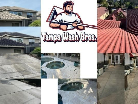 Tampa Wash Bros Pressure Washing