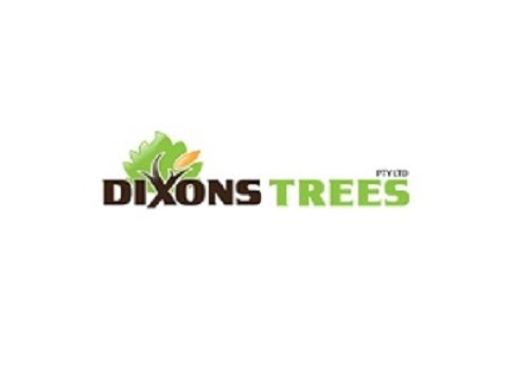 Dixons Trees