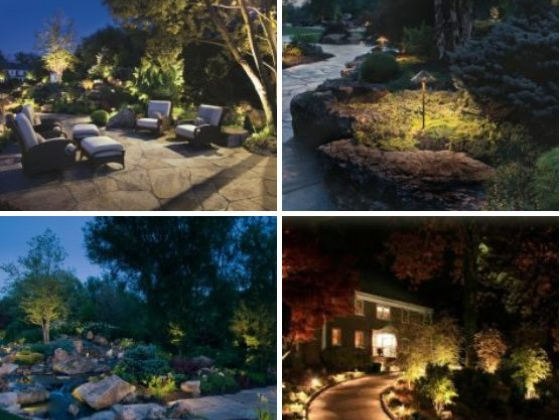 Illuminated Gardens