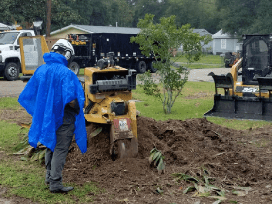 Hub City Tree and Preservation