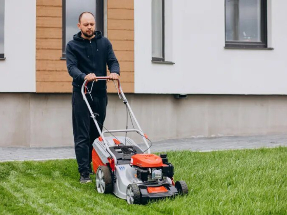Local Cut Lawn Care and Landscaping Services