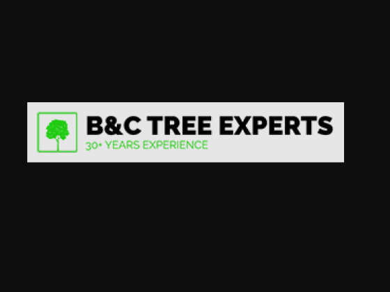 Advanced Tree Solutions