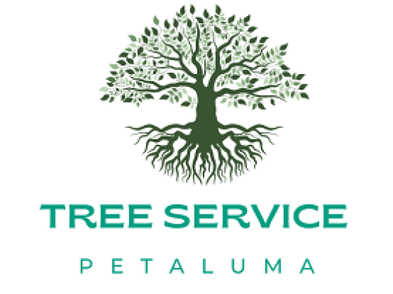 Tree Service Petaluma