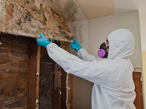 Strictly Cleaning Restoration