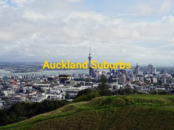 Explore Auckland