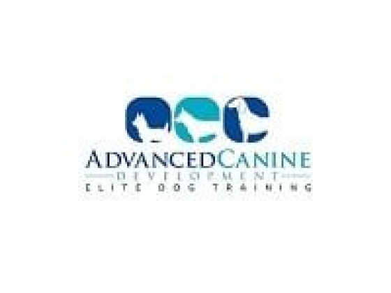 Advanced Canine Development