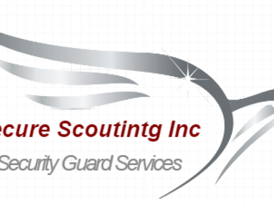 Secure Scouting Inc
