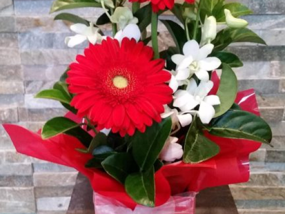 Florist Tarneit - Blossoms Of Wyndham