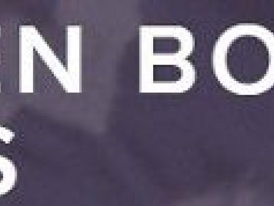 Golden Boy Bail Bonds San Diego – Fianzas