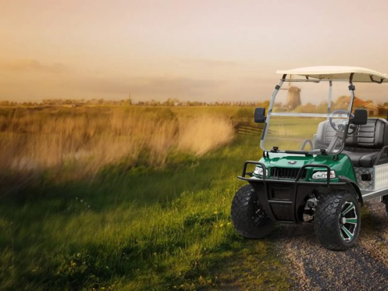 Electric Buggy Company | Electric Buggies in Marbella