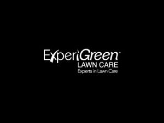 Experigreen lawn Care
