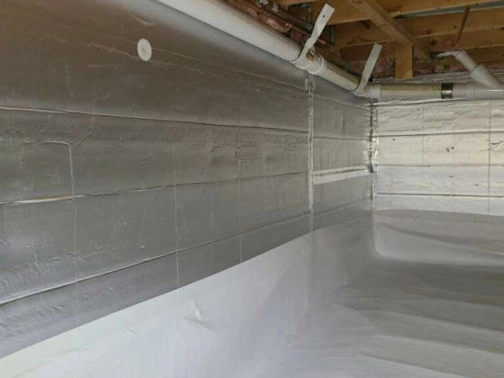 Pro Crawlspace Repair