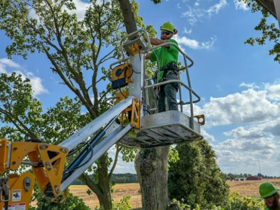 McQuillin Tree Care