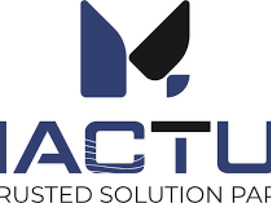 Mactus Mineral LLP
