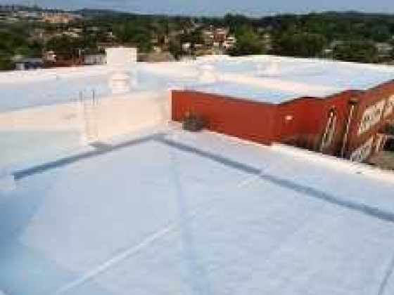 Tru-Green Roofing