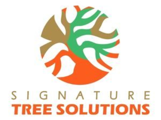 Signature Tree Solutions