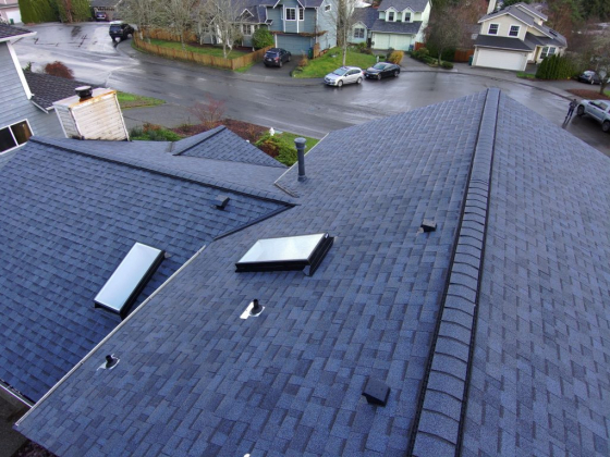 Orca Roofing & Exteriors