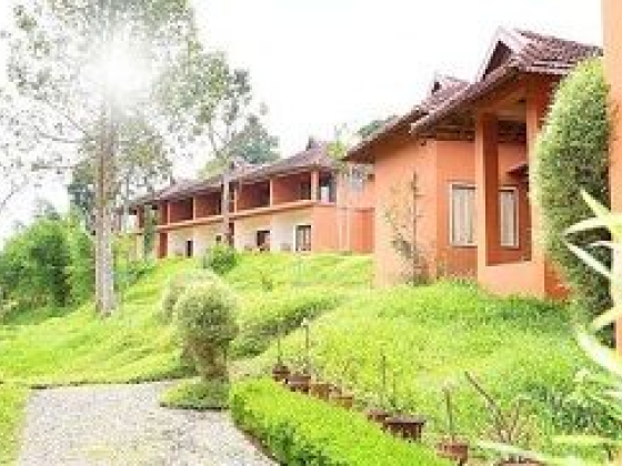 Best Ayurvedic Doctor