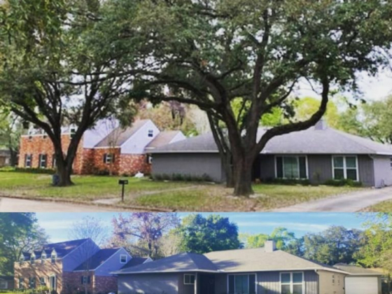 Nature's Tree Removal of Houston