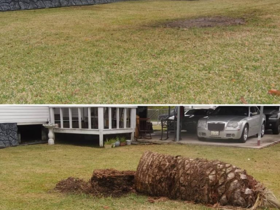 Nature's Tree Removal of Houston