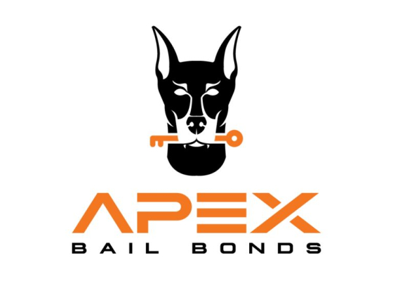 Apex Bail Bonds of Wentworth, NC