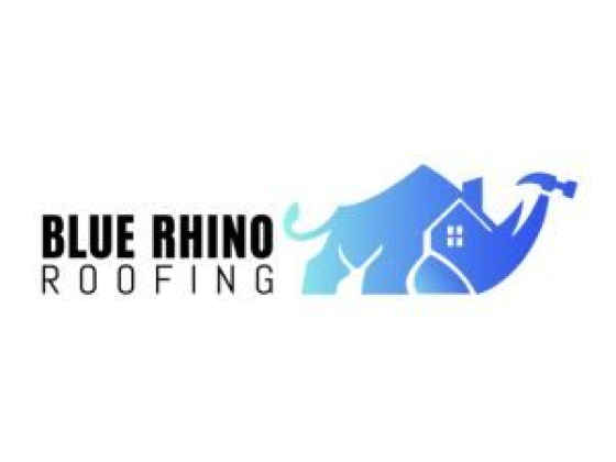Blue Rhino Roofing and Solar