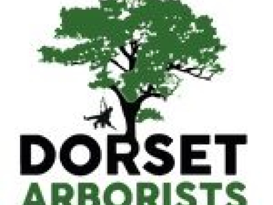 Dorset Arborists