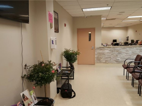 Professional Gynecological Services