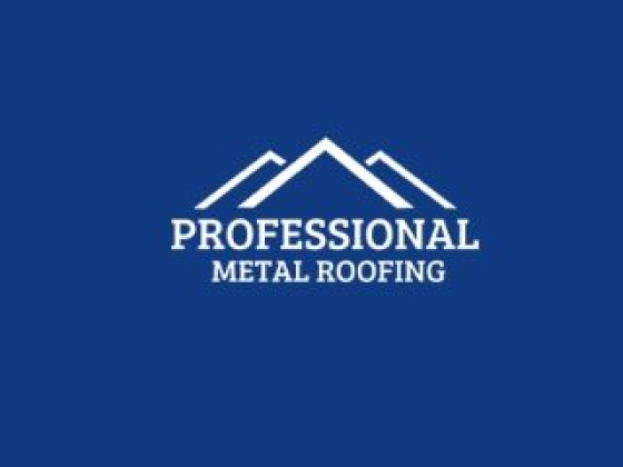 Professional Metal Roofing