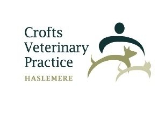 Crofts Veterinary Surgery - Haslmere