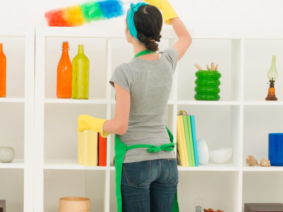 House Cleaning in Edmonds WA