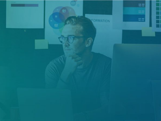 Net Solutions Interactive