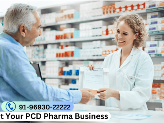 How Do I Create A Successful PCD Pharma Franchise Business Plan?