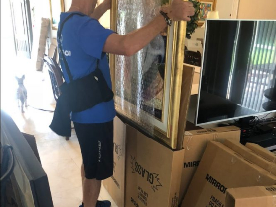 Pro Movers Miami