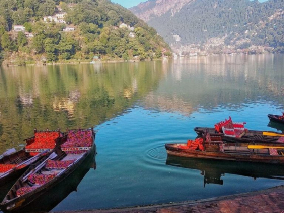 Trip Trek Holiday